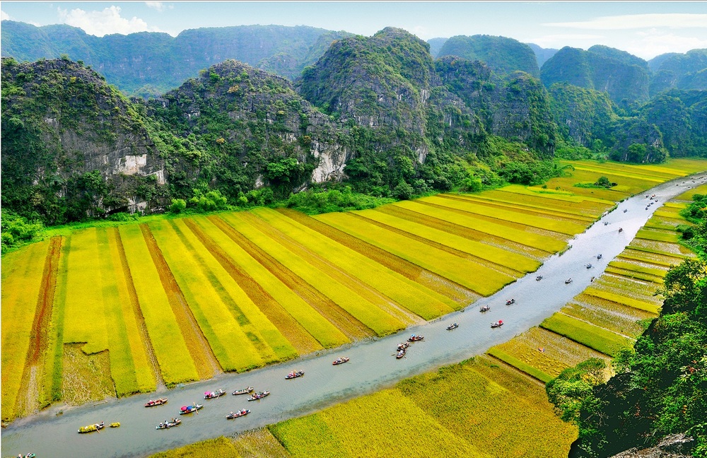 Tam Coc in the Golden Rice Season, April - May or October