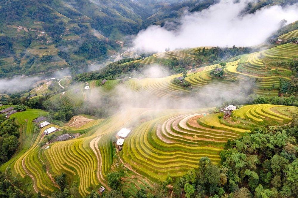 Exploring the Majestic Hoang Su Phi Rice Terraced Fields